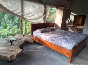 Jungle therapy mayong